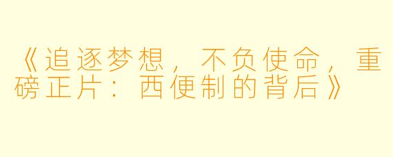 《追逐梦想,不负使命,重磅正片:西便制的背后》