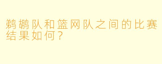 鹈鹕队和篮网队之间的比赛结果如何？