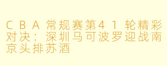 CBA常规赛第41轮精彩对决：深圳马可波罗迎战南京头排苏酒
