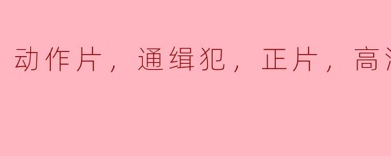 动作片，通缉犯，正片，高清版