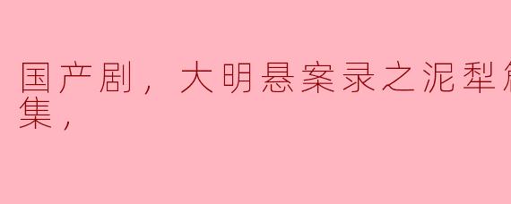 国产剧，大明悬案录之泥犁篇，全24集，