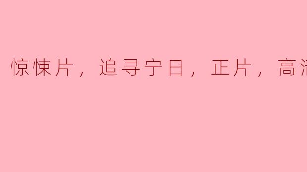 惊悚片，追寻宁日，正片，高清版
