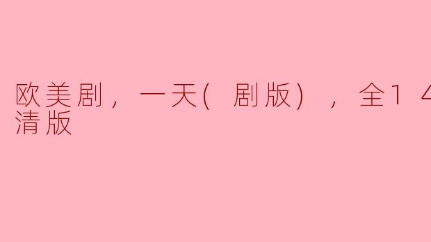 欧美剧，一天(剧版)，全14集，高清版