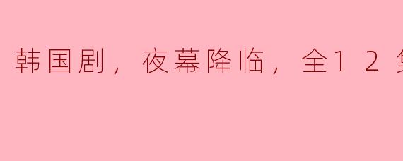 韩国剧，夜幕降临，全12集，高清版