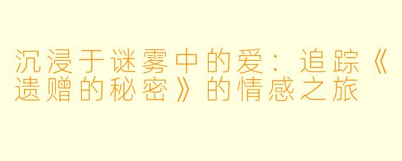 沉浸于谜雾中的爱:追踪《遗赠的秘密》的情感之旅