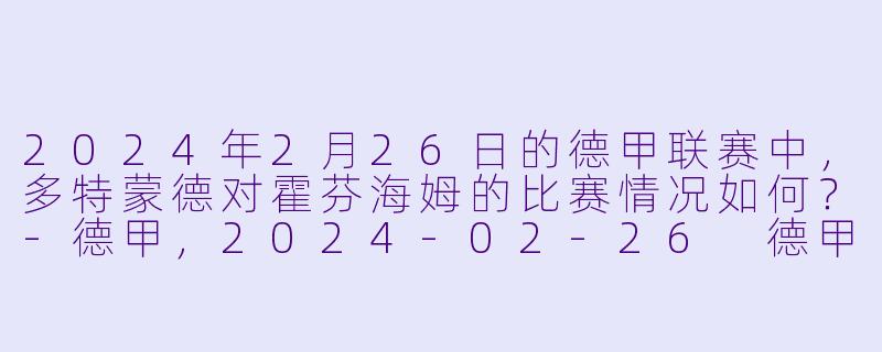 2024年2月26日的德甲联赛中,多特蒙德对霍芬海姆的比赛情况如何?