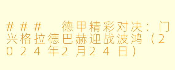 ### 德甲精彩对决：门兴格拉德巴赫迎战波鸿（2024年2月24日）
