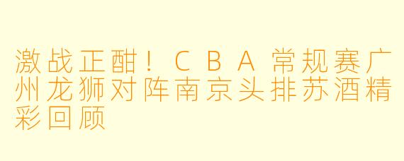 激战正酣！CBA常规赛广州龙狮对阵南京头排苏酒精彩回顾