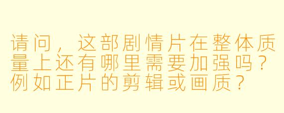 请问,这部剧情片在整体质量上还有哪里需要加强吗?例如正片的剪辑或画质?
