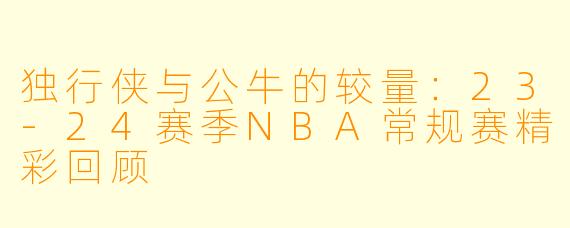 独行侠与公牛的较量：23-24赛季NBA常规赛精彩回顾