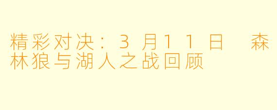 精彩对决：3月11日 森林狼与湖人之战回顾