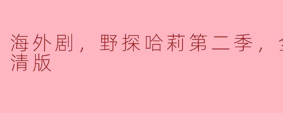 海外剧，野探哈莉第二季，全6集，高清版