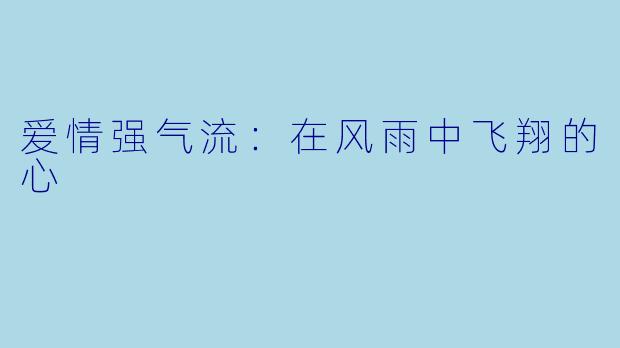 爱情强气流:在风雨中飞翔的心