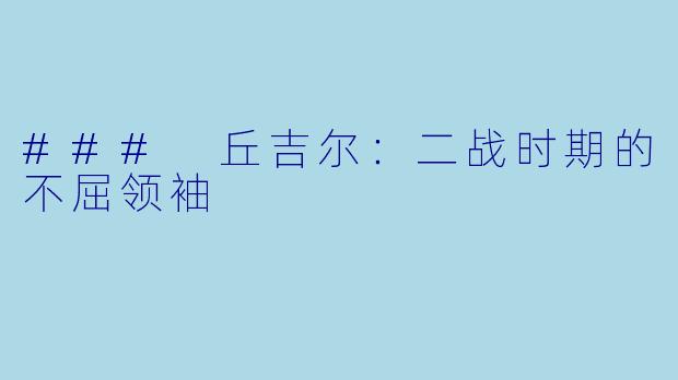 ### 丘吉尔：二战时期的不屈领袖