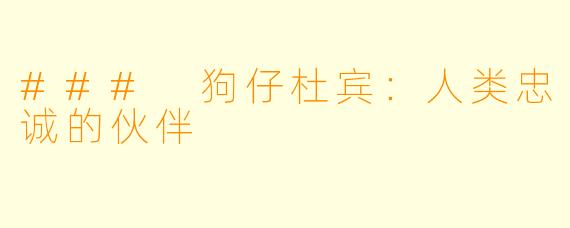 ### 狗仔杜宾:人类忠诚的伙伴