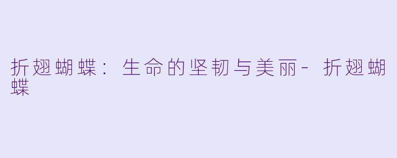 折翅蝴蝶:生命的坚韧与美丽
