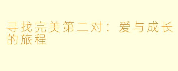 寻找完美第二对：爱与成长的旅程