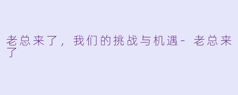 老总来了,我们的挑战与机遇-老总来了