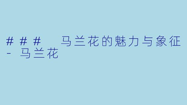 ### 马兰花的魅力与象征-马兰花