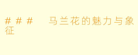 ### 马兰花的魅力与象征