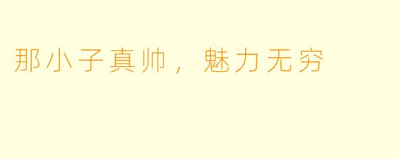 那小子真帅,魅力无穷