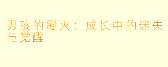 男孩的覆灭:成长中的迷失与觉醒