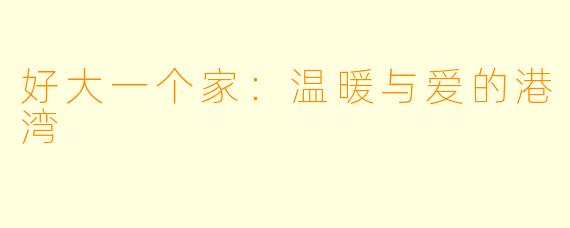 好大一个家：温暖与爱的港湾