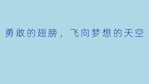勇敢的翅膀,飞向梦想的天空