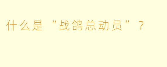 什么是“战鸽总动员”？  