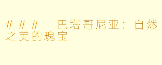 ### 巴塔哥尼亚：自然之美的瑰宝