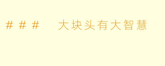 ### 大块头有大智慧