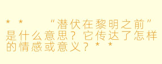 ** “潜伏在黎明之前”是什么意思?它传达了怎样的情感或意义?**