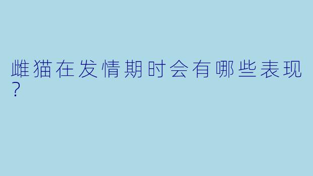雌猫在发情期时会有哪些表现？