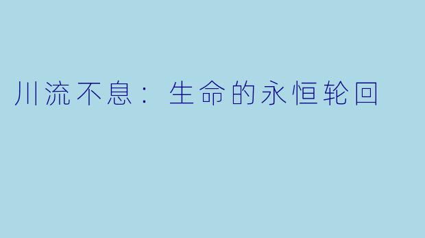 川流不息：生命的永恒轮回