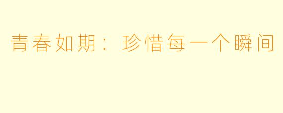 青春如期:珍惜每一个瞬间