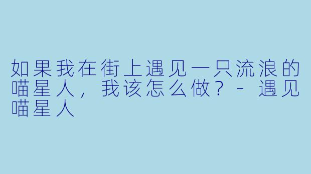 如果我在街上遇见一只流浪的喵星人,我该怎么做?