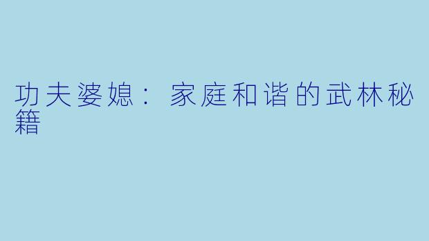 功夫婆媳：家庭和谐的武林秘籍