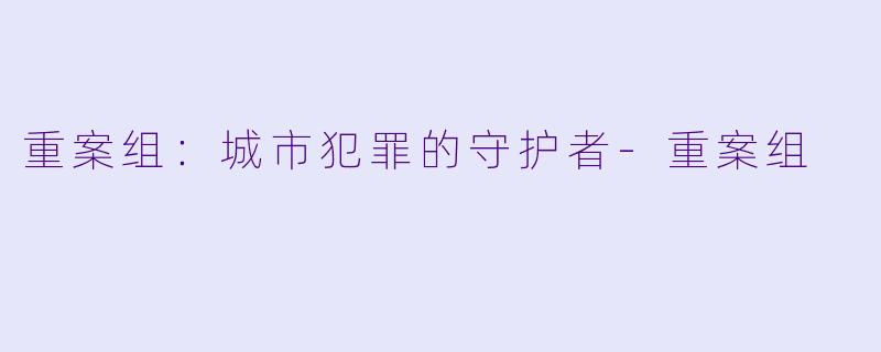 重案组:城市犯罪的守护者
