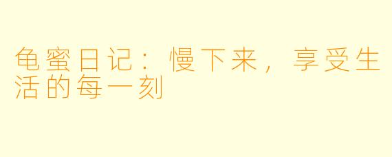 龟蜜日记:慢下来,享受生活的每一刻