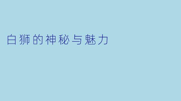 白狮的神秘与魅力
