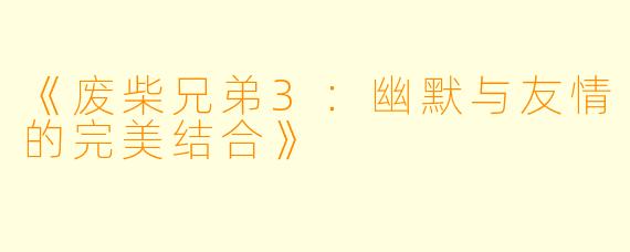 《废柴兄弟3:幽默与友情的完美结合》