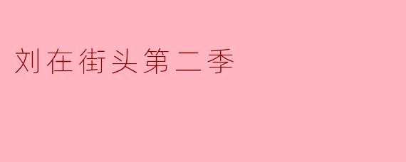 你觉得《刘在街头第二季》有哪些亮点值得关注？