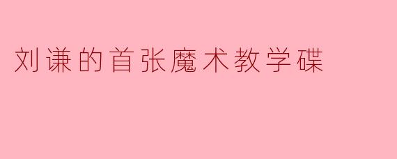 刘谦的首张魔术教学碟