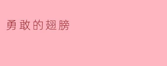 勇敢的翅膀