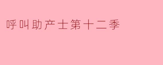呼叫助产士第十二季主要讲述了哪些主题和故事?**