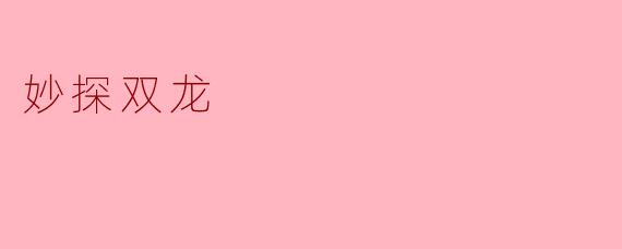 在《妙探双龙》中，故事的主要线索是什么？  