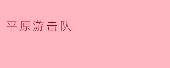 平原游击队