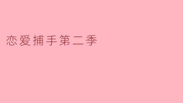 恋爱捕手第二季