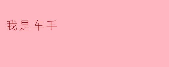 ### 我是车手