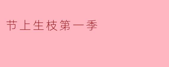 ** 《节上生枝第一季》讲述了怎样的故事? **